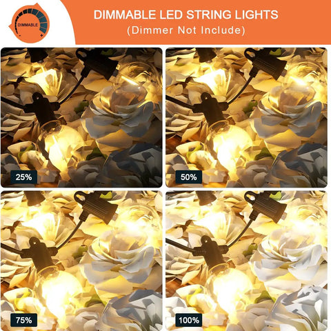 Outdoor 240 Ft LED String Lights With 124 G40 Globe Bulbs, IP65 dimmable patio lighting with brightness levels on flowers