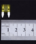 Yellow blade fuse next to ruler, part of 600Pcs Auto Fuse Kit With Blade Fuses 5A 10A 15A 20A 25A 30A For Cars And Trucks, Easy Replace With Fuse Puller, Quick Identification, Must Have Safety Backup For DIY Electrical Repairs On The Go