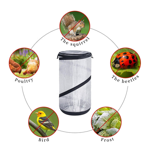 Two Pack Pop Up Mini Greenhouse Covers 23.4x11.6 Inch PVC Spring Up Plant Protector With Zipper Portable Garden Greenhouse For Frost Protection Wind And Rain Proof Keeps Your Plants Warm And Cozy