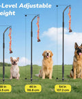 360 Degree Rotation Tether Dog Rope Toy Set with three adjustable height options for small, medium, and large dogs in a park.