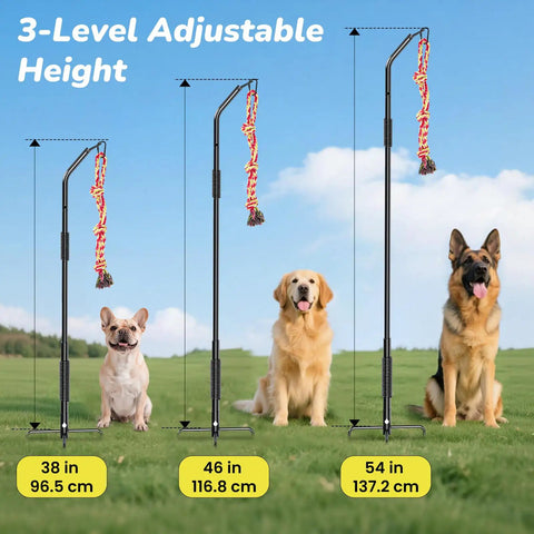 360 Degree Rotation Tether Dog Rope Toy Set with three adjustable height options for small, medium, and large dogs in a park.