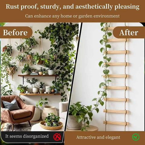 Before and after image showing indoor plants with disorganized vines and the 6-Feet Extra Tall Wooden Ladder Plant Trellis For Indoor And Outdoor Use.