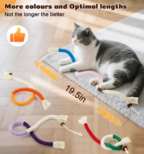 Cat playing with Cat Chew Rope Toys 4 Pack For Indoor Cats With Refillable Catnip Pouch Safe Teeth Cleaning Rope Toys