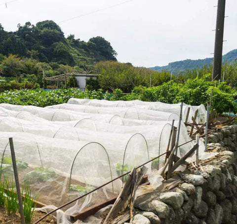 4x10 Ft Garden Bug Barrier Netting For Pest Protection, Fine Mesh Row Cover installed over raised beds to shield plants outdoors