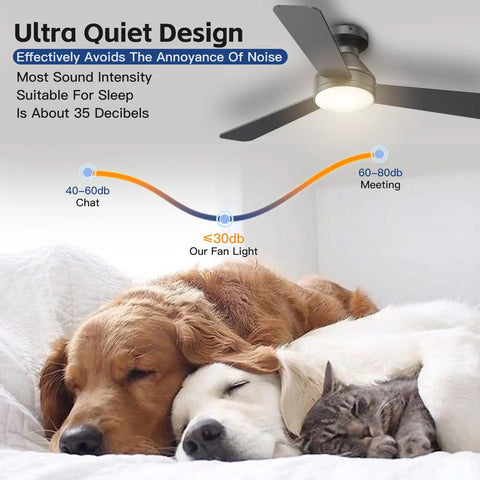 42 Inch Ceiling Fan With Light And Remote, Low Profile Flush Mount, 3 CCT LED, 6 Speed Quiet Motor above sleeping pets