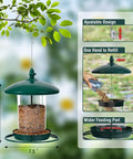 Chew Proof Metal Bird Feeder For Outdoors Hanging Built Tough As Nails With 3 Lb Seed Capacity Easy To Fill And Clean 360 Degree Feeding Weatherproof Roof For Gardens And Wild Birds Green