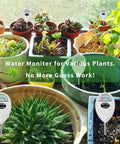 Soil Moisture Meter For House Plants And Outdoor Use No Battery Needed Fast Accurate Readings From A Hygrometer Moisture Sensor in pots