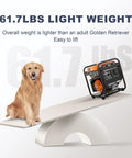 Open Frame 4000W Inverter Generator With 223cc OHV Engine lighter than a dog, illustrating portability on a seesaw.