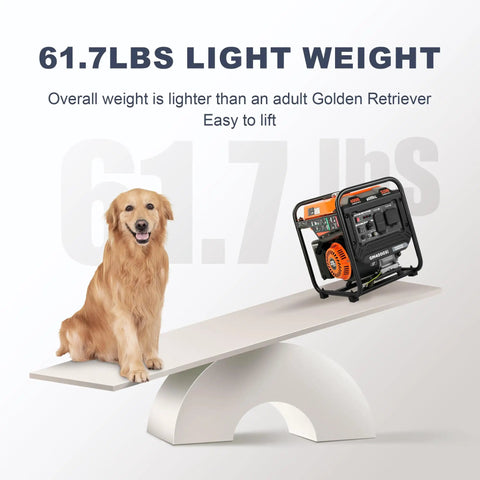 Open Frame 4000W Inverter Generator With 223cc OHV Engine lighter than a dog, illustrating portability on a seesaw.