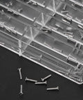150 Piece Micro Screw Assortment Kit for Gadgets and Watches Featuring 304 Stainless Steel Pan Head Slot Screws in organized case