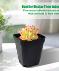 Square Seed Starter Pots 3 Inch 120 Pack Black Plastic Nursery Pots with Drainage for Seed Germination and Propagation