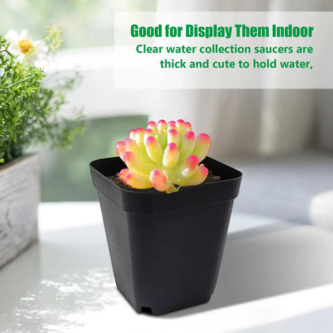 Square Seed Starter Pots 3 Inch 120 Pack Black Plastic Nursery Pots with Drainage for Seed Germination and Propagation