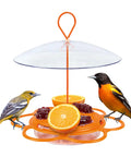 Go-To Multi-Station Oriole Feeder With Ant Moat And Weather Baffle, Heavy-Duty Metal And Plastic Wild Bird Feeder, Orange