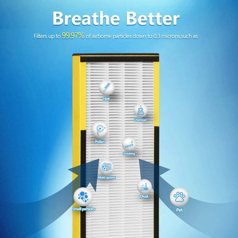 Diagram of Six Pack FLT4825 H13 True HEPA Replacement Filter B Compatible With AC4300BPTCA showing filtration of particles