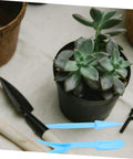 12 Piece Bonsai Tool Set For Succulents And Seedlings Durable Garden Hand Tools For Transplanting Pruning And Plant Maintenance Great For Small Spaces Indoor Gardens And Plant Lovers, blue tools beside potted succulent