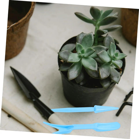 12 Piece Bonsai Tool Set For Succulents And Seedlings Durable Garden Hand Tools For Transplanting Pruning And Plant Maintenance Great For Small Spaces Indoor Gardens And Plant Lovers, blue tools beside potted succulent