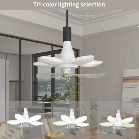 XEGZLH E27/E26 Screw in LED Ceiling Fan Light Even Lighting Distribution for Bedroom Kitchen Comfort in tri-color setting.