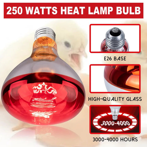Infrared 250W R40 Heat Lamp Bulb For Brooder, Chickens And Pets, Reflector Incandescent Heating Lamp, E26 base shown