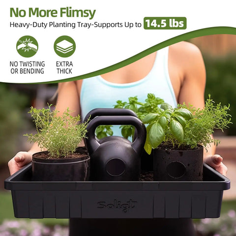 Person carrying Extra Thick Heavy Duty Seed Starting Trays Set Of 10 No Holes No Leakage Reusable Germination Flats with plants