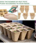 120 Cell Seed Starter Tray Kit For Indoor Gardens With Biodegradable Peat Pots shown in use with seedlings