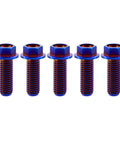 Rison titanium flanged hex head bolts, burnt-blue, M8x1.25x20mm, Ti6Al4V aerospace grade, pack of 5
