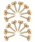 16 Pieces Brass Capped Fixing Screws With Curved Decorative Head Caps For Mirrors And Furniture Golden Color Sturdy Integrated Design