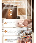 YPDJVLTI 45-52Inch Ceiling Fans Lights Ceiling Lamp showing 6-speed settings for versatile comfort in living space.