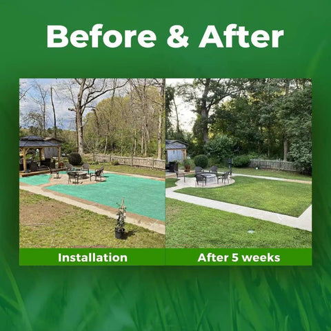 Biodegradable Grass Seed Mat Roll For Lawns And Shade, 100 Sq Ft Green Year Round, Seed And Mulch In One, Easy Roll Out Lawn Solution For Dog Patches, No Fake Grass, Just Water And Grow