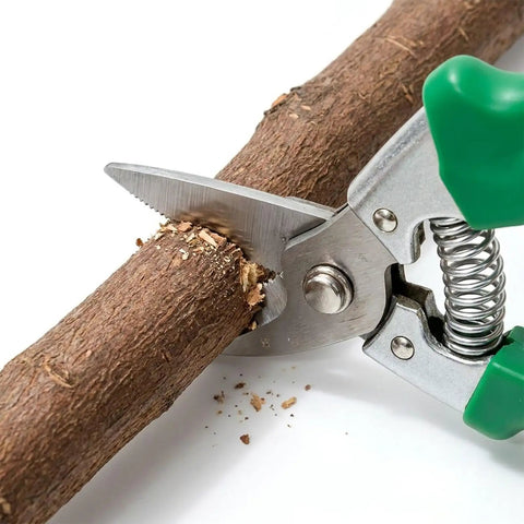 Grab This Killer SENRISE Compression Spring Kit With 300 Durable Stainless Steel Coils And 23 Sizes For All Your Mechanical Fixes, Switches, Reset Parts And Tool Builds Without Breaking The Bank Or Losing Mind, spring-loaded pruning shear cutting branch