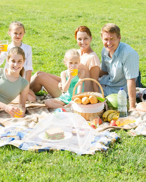 Family picnic with food under Six Pack Mesh Food Covers 17x17 Inches Pop Up Patio Net For Outdoor Dining White Nylon Bug Screen