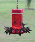 Hummingbird Feeder With Wide Mouth Reservoir And Leakproof Ring, No Drip, 10 Feeding Ports, Easy Fill And Clean Nectar Feeder For Outdoor Birds