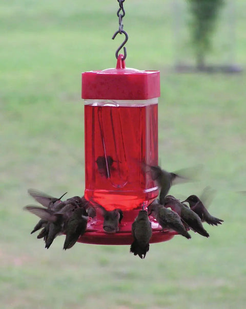 Hummingbird Feeder With Wide Mouth Reservoir And Leakproof Ring, No Drip, 10 Feeding Ports, Easy Fill And Clean Nectar Feeder For Outdoor Birds