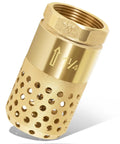 Well Pump Foot Valve 1-1/4 Inch Female NPT Check Valve With Brass Body, Strainer, angled view showing filter holes