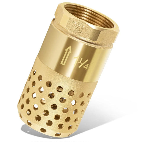 Well Pump Foot Valve 1-1/4 Inch Female NPT Check Valve With Brass Body, Strainer, angled view showing filter holes