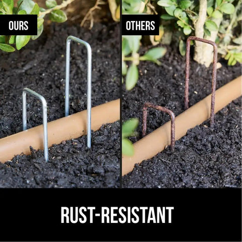 Comparison of rust-resistant Beefy 6 Inch Landscape Staples 50 Pack 11 Gauge Galvanized Steel Stakes with ultra sharp tip versus rusty competitor