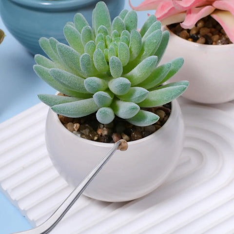 Pro Grade Garden Tweezers Set Of 3 Stainless Steel Plant Tweezers With Straight And Curved Tips, Dope Precision Bonsai Tools For Indoor Outdoor Gardening, Kitchen And More, 6.22In, 6.33In, 6.4In, stainless steel tweezers placing a pebble in a succulent pot