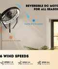 Wall Mounted Fan With Lights 23 Inch Remote And App Control 6 Speeds Dimmable 3 CCT Reversible Noiseless 360 Degree Tilt