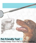 Dental Inspection Mirror With Stainless Knurled Handle 6.5 Inch Total Length 22mm Mirror Diameter Cone Socket For Pro Dental Exams And Home Checkups Durable Stainless Steel Build Easy Grip, used on dog teeth