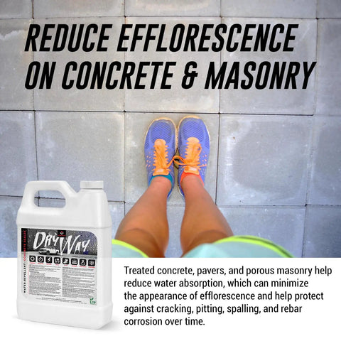 Deep Penetrating Silane Siloxane Concrete Driveway Sealer Forms A Straight Up Invisible Water Repellent Shield To Keep Masonry Looking Crisp While Totally Knocking Out Flakey Surface Layer Trouble, shown on concrete pavers with sneakers.