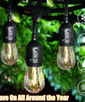 Close-up of Go To Outdoor String Lights 96 Feet Total, Two 48 Feet Strands, with S14 Shatterproof LED Bulbs hanging outdoors.