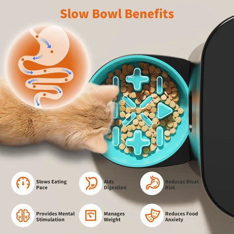 Dead Simple Smart Cat Feeder With Solid Wifi And Smartphone App Control Automated Timed Pet Food Dispenser showing slow bowl benefits with cat.
