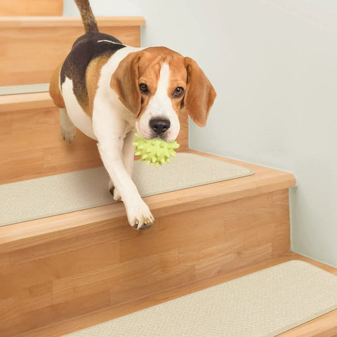 Dog with toy on stairs with Skid Resistant Carpet Stair Treads Set Of 15 In Ivory Cream 8 X 23.5 Inches With Durable Rubber Backing