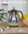 1.7L Electric Kettle With Auto Shut Off And Boil Dry Protection BPA Free Stainless Steel Teapot For Quick Boil 1500W 120V
