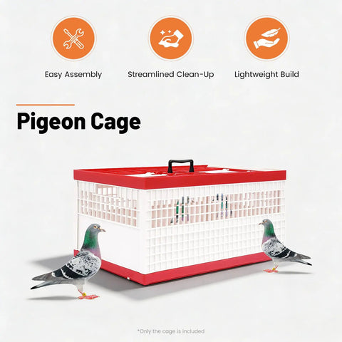 Racing Pigeon Carrier Box Folding Pigeon Training Cage 23.62 Inch Ventilated Plastic Carrier Holds About 14 Birds with 2 Top Lids