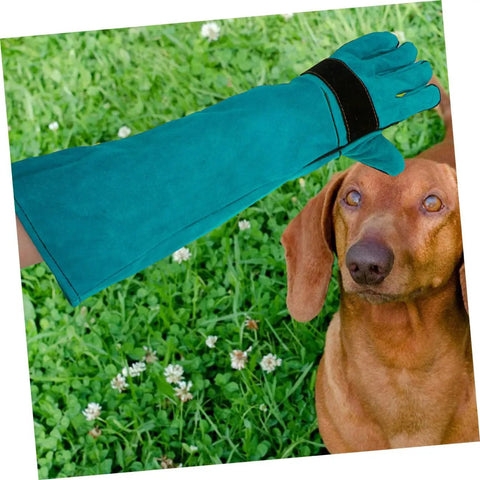 Pet Grooming Gloves For Dogs And Cats With Long Sleeve Protective Faux Leather shown with a brown dog on grass