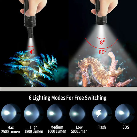 V21 Ultra Bright 2500 Lumen Dive Light With IP68 Waterproof Rating demonstrating 4° spot and 80° flood beam on sea creatures