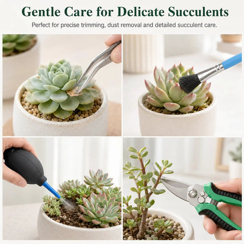 25 Piece Succulent And Bonsai Tools Set For Beginners Indoor Plant Care Kit With Repotting Mat Organizer Tote Soil Moisture Meter Pruning Shears Mini Garden Tools A Must Have Gift For Women And Men, succulent care tools in use