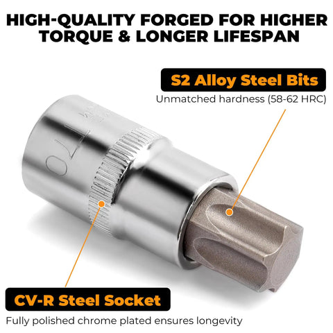 Close-up of S2 steel bit and CR-V socket from 64-Piece Torx Socket Set With Three Eighths, One Quarter, And One Half Inch Drives.