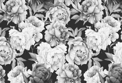 Black And White Peonies Watercolor Floral Wallpaper Mural Dope Look For Bedroom And Living Room Not Peel And Stick 141 X 96 Inches