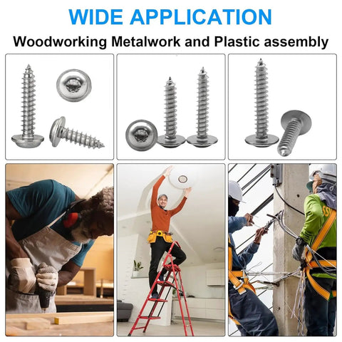 M4x8Mm 304 Stainless Steel Torx Pan Head With Washer Self Tapping Screws Pack Of 50 displayed with various applications in woodworking.